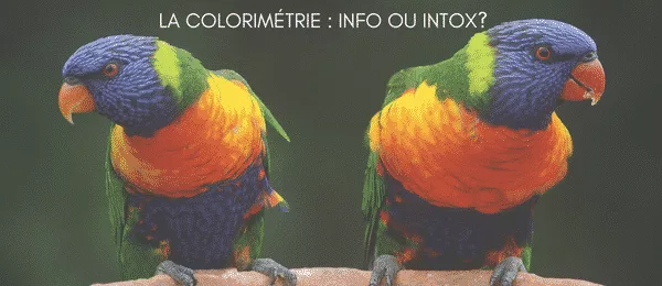 Colorimétrie : info ou intox, le vrai du faux